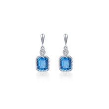 Load image into Gallery viewer, December Birthstone Earrings-BE007BTP