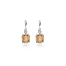 Load image into Gallery viewer, November Birthstone Earrings-BE007YTP