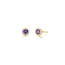 Load image into Gallery viewer, February Bezel Birthstone Earrings-BE009AMG