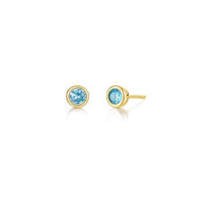 Load image into Gallery viewer, December Bezel Birthstone Earrings-BE009BTG