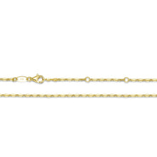 Load image into Gallery viewer, Lucy Small Chain-CH00047G
