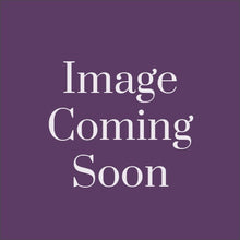 Load image into Gallery viewer, Foam Cleaner