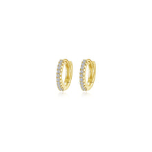 Load image into Gallery viewer, 13.5mm Huggie Hoop Earrings-E0621CLG