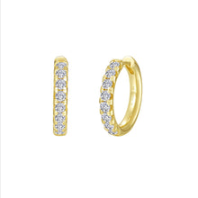 Load image into Gallery viewer, Madison Hoop Earrings-E0668CLG