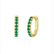 Load image into Gallery viewer, Madison Hoop Earrings-E0668EMG