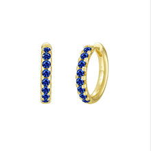 Load image into Gallery viewer, Madison Hoop Earrings-SYE035SG