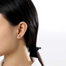 Load image into Gallery viewer, February Birthstone Earrings-BE001AMP