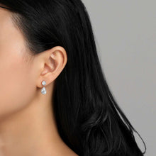 Load image into Gallery viewer, Elegant Drop Earrings-E0334CLP