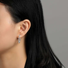 Load image into Gallery viewer, 25 mm Hoop Earrings-E0411CLP