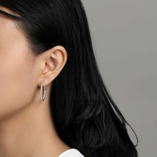 Load image into Gallery viewer, 25 mm Hoop Earrings-E3016CLP