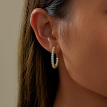 Load image into Gallery viewer, 20 mm Hoop Earrings-E3018CLG