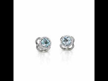 Load and play video in Gallery viewer, December Birthstone Earrings-BE001BTP