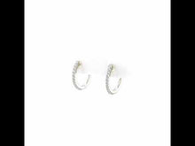 Load and play video in Gallery viewer, Dainty Huggie Hoop Earrings-E0346CLP