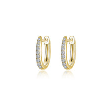 Load image into Gallery viewer, Dainty Huggie Hoop Earrings-BE006CLG
