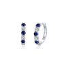 Sapphire/Silver