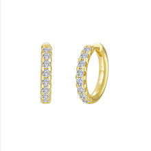 Load image into Gallery viewer, Madison Hoop Earrings-E0668CLG
