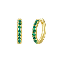 Load image into Gallery viewer, Madison Hoop Earrings-E0668EMG
