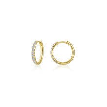 Load image into Gallery viewer, Small Alina Round Hoop Earrings-E0684CLG
