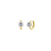 Gold/Silver