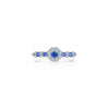 Sapphire/Silver