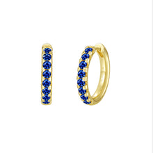 Load image into Gallery viewer, Madison Hoop Earrings-SYE035SG
