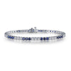 Sapphire/Silver