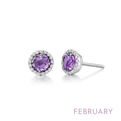 February Birthstone Earrings-BE001AMP