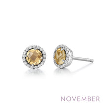 Load image into Gallery viewer, November Birthstone Earrings-BE001CTP
