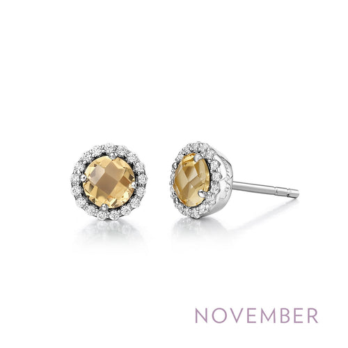 November Birthstone Earrings-BE001CTP