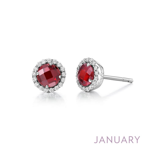 January Birthstone Earrings-BE001GNP