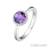 February - Amethyst/Silver