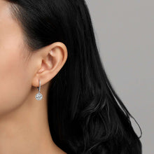 Load image into Gallery viewer, Halo Drop Earrings-E0193CLP
