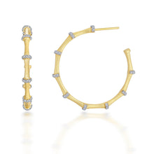 Load image into Gallery viewer, Elegant Bamboo Hoop Earrings-E0458CLT
