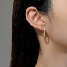 Load image into Gallery viewer, Paperclip Hoop Earrings-E0531CLG
