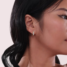 Load image into Gallery viewer, Huggie Earrings with Shiny Clusters-E0602CLG
