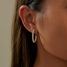 Load image into Gallery viewer, 20 mm Hoop Earrings-E3018CLG
