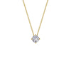 White/Gold