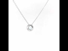 Load and play video in Gallery viewer, December Birthstone Necklace-BN001BTP
