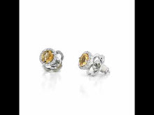 Load and play video in Gallery viewer, November Birthstone Earrings-BE001CTP
