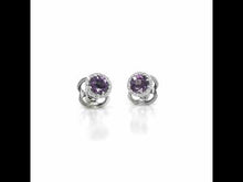 Load and play video in Gallery viewer, February Birthstone Earrings-BE001AMP
